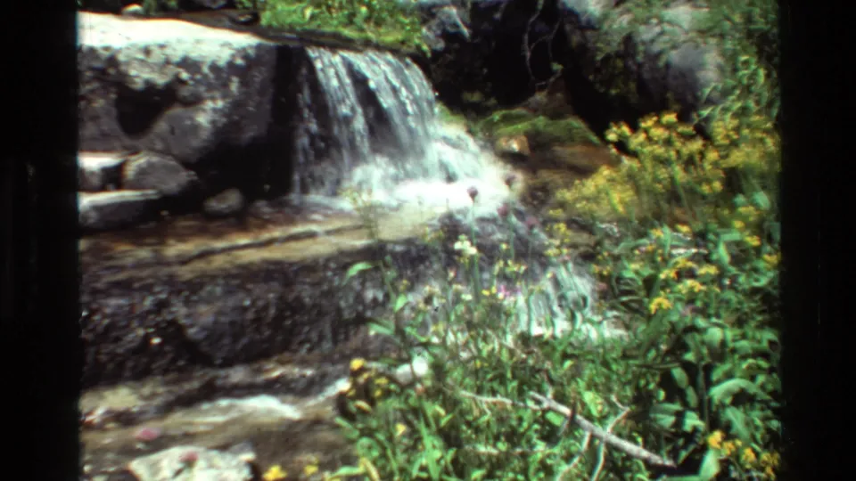 The 8mm frame holds on the cascade while foreground grasses and wildflowers partly cover the shallow water below.