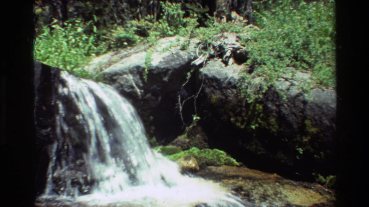 1981 8mm frame of a bright woodland stream cascading over moss-covered rocks, with dense green foliage behind it.