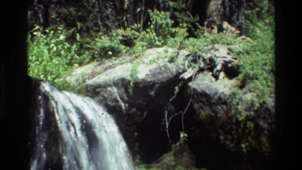 Vintage 8mm frame showing a woodland cascade, mossy stone, exposed roots, and dense green vegetation in bright outdoor light.