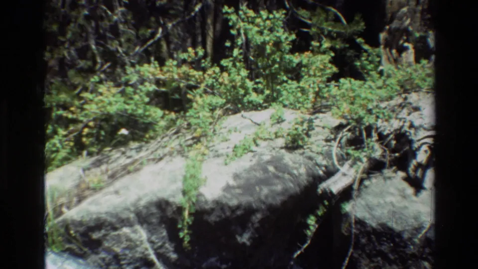 1981 8mm home-movie frame showing a rocky outcrop with shrubs, fallen branches, and trees in a mountain setting.