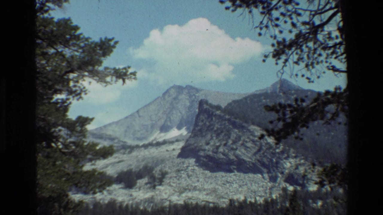 1981 8mm home-movie frame showing a mountain range in British Columbia, framed by pine branches under a bright cloud.