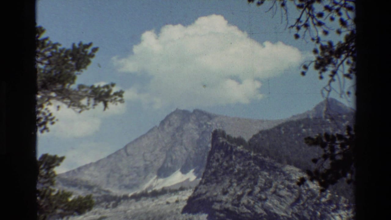 Listed 1981 8mm footage shows rocky mountain peaks beneath clouds, framed by conifer branches and dark tree trunks.