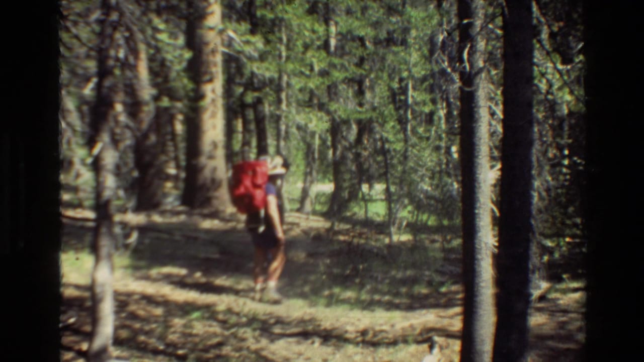Hiker with a red backpack walking on a forest path among tall trees.