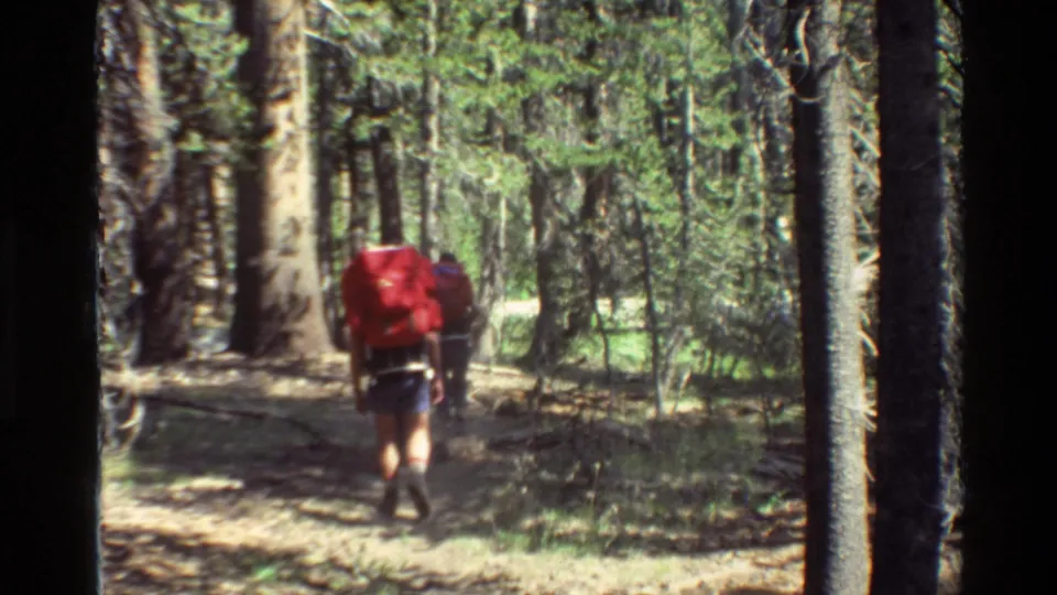 Rear view of a backpacker carrying a red pack on a shaded forest path, with dense trees and patchy sunlight around the trail.