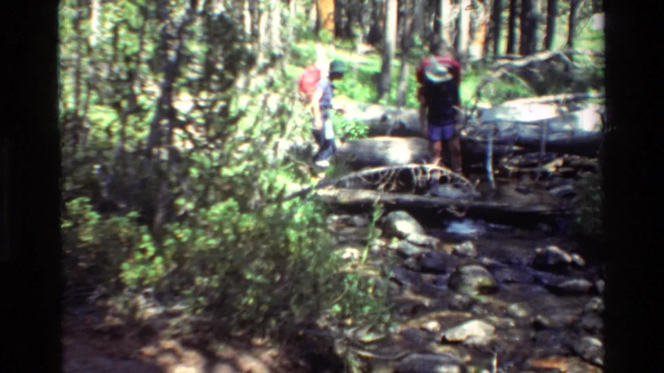 Backpackers with red packs continue over a log crossing above a rocky stream, surrounded by trees and undergrowth in the supplied 1981 setting.
