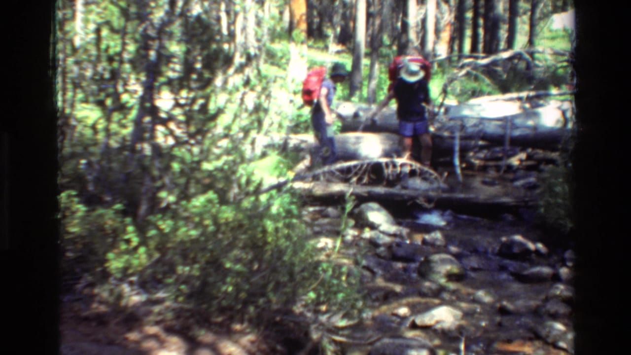 1981 8mm frame of backpacked hikers at a fallen-log creek crossing in a sunlit wooded area listed as British Columbia, United States.
