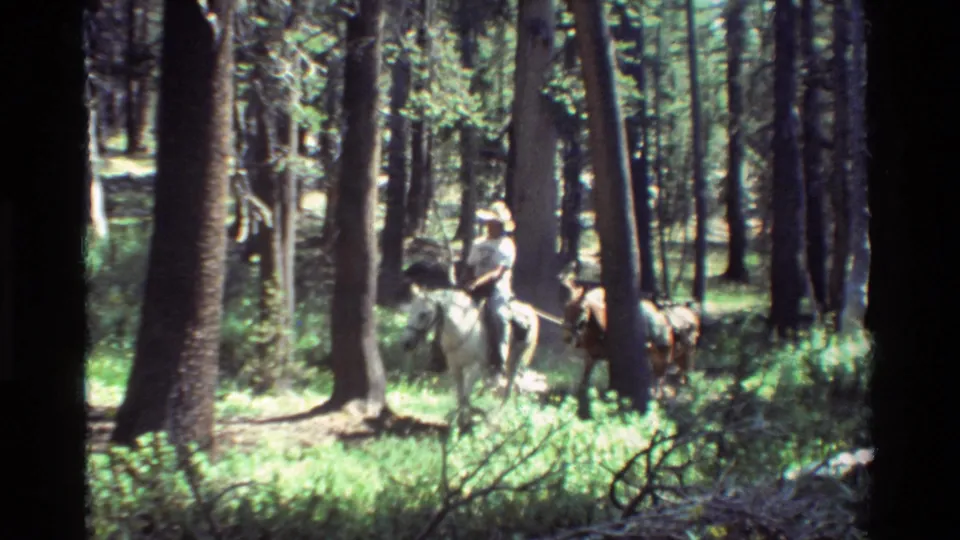 A rider leads or travels with additional horses through a shaded forest, captured in soft 8mm home-movie footage.