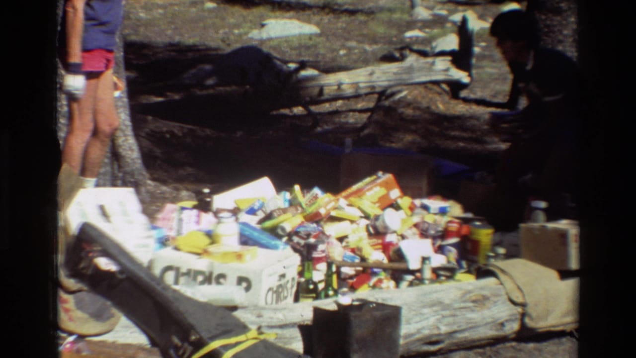 Camp gear and cardboard boxes sit near logs under trees.