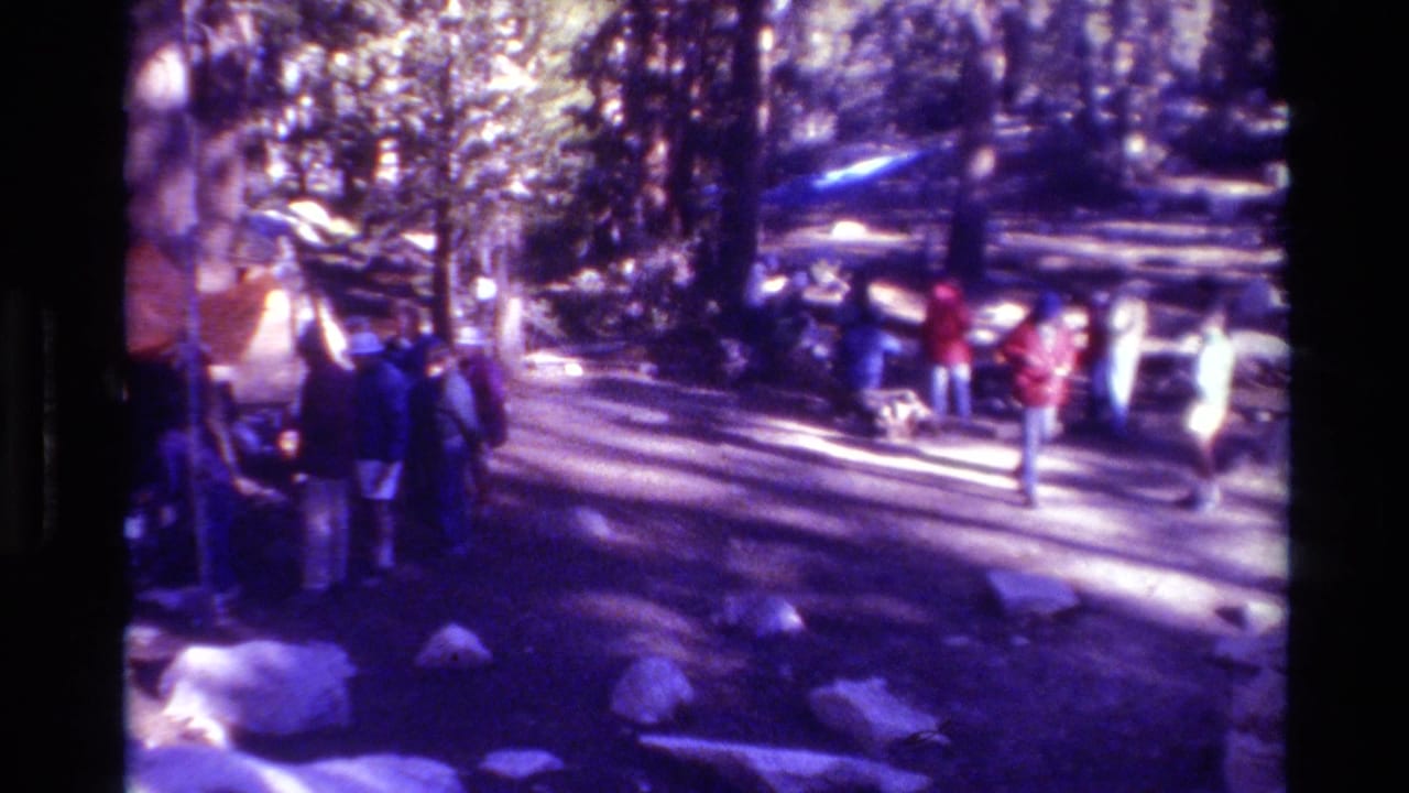 People stand and walk near trees and rocks at a wooded campsite.