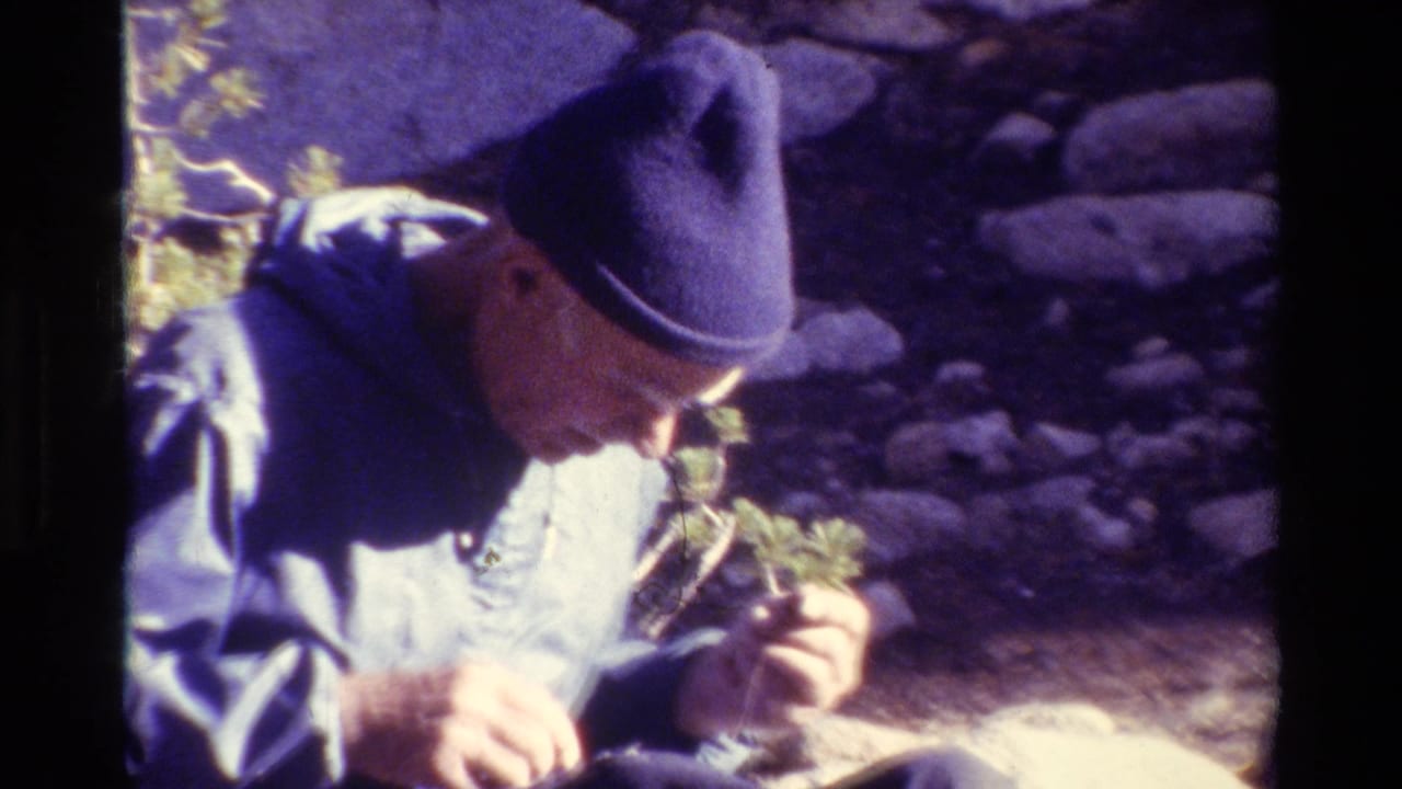 Man in a dark knit cap examines a small plant in a rocky wooded area.