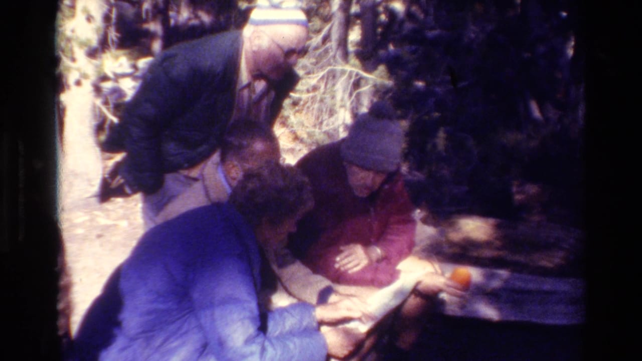 Several men gather around papers on an outdoor bench in the woods.