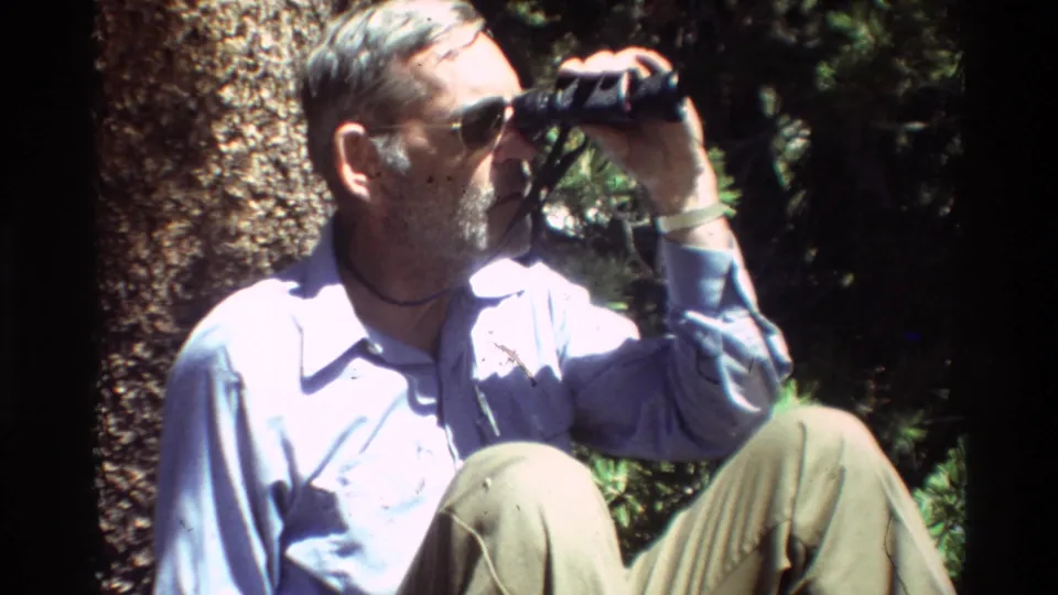 In metadata-listed British Columbia, 1981, a bearded man in sunglasses sits at a tree base and watches through binoculars on 8mm film.