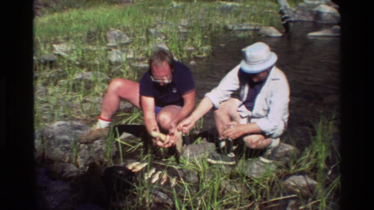 In metadata-supported 1981 British Columbia footage, two adult men crouch beside a shallow rocky stream and handle freshly caught fish.