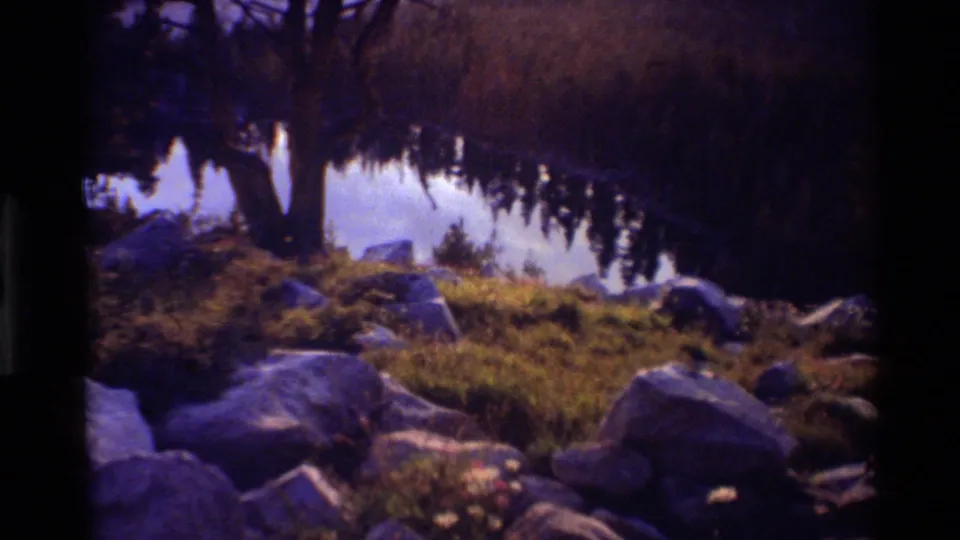 1981 8mm lakeshore view with boulders, grass, shaded trees, and calm water reflecting the surrounding forest.