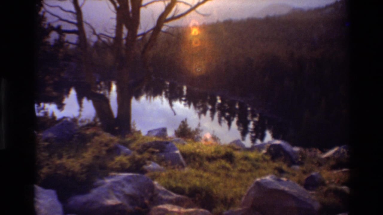 Bare trees and rocks along a calm lake, with reflected forest and warm sun flare above the hills.