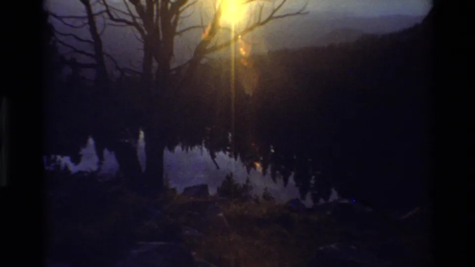 Underexposed 1981 8mm frame showing a bare tree by a mountain lake, reflected shoreline, rocks, and strong golden flare from the low sun.