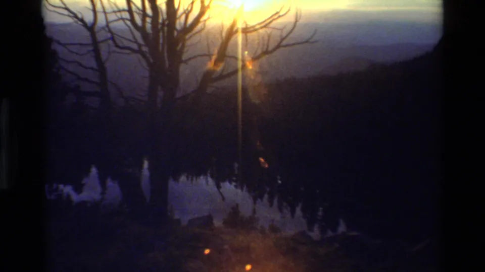 1981 8mm dusk landscape with a bare tree against bright sun, dark lake reflection, distant mountain slope, and orange lens flare artifacts.