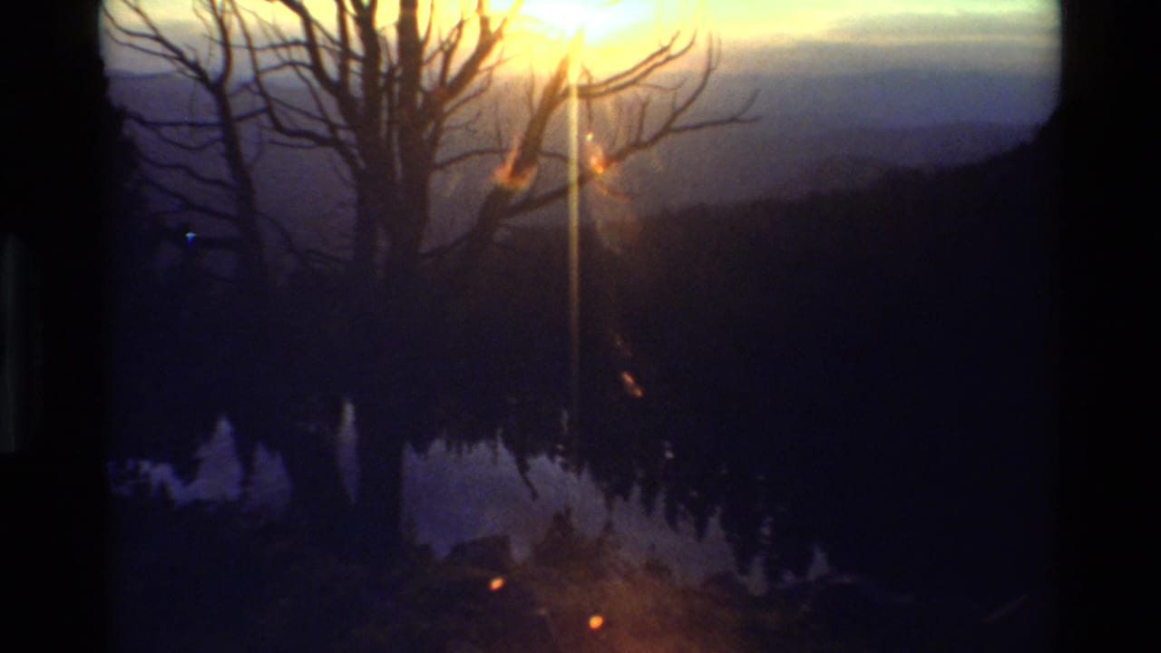 1981 8mm footage shows the sun flaring through leafless branches over a dark mountainous landscape in the stated British Columbia location.