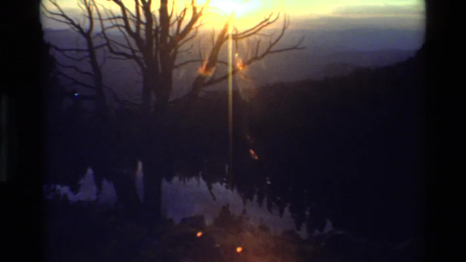 1981 8mm footage shows the sun flaring through leafless branches over a dark mountainous landscape in the stated British Columbia location.