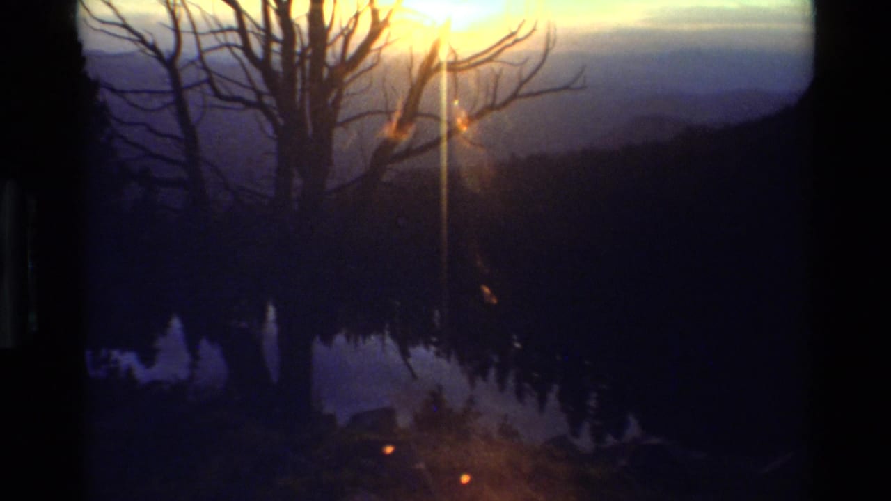 Bright sunset shining through a leafless tree with dark hills below.
