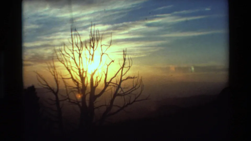 The sun sits behind bare branches in a blue, yellow, and orange dusk sky, with low terrain fading into shadow.