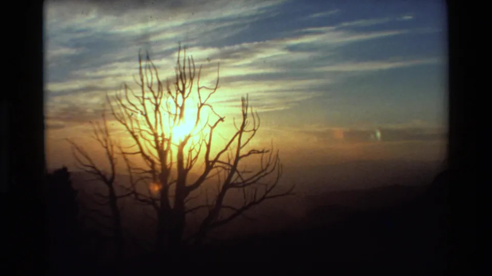 A silhouetted tree frames the setting sun above a dark mountain horizon, with streaked clouds and warm 8mm color.