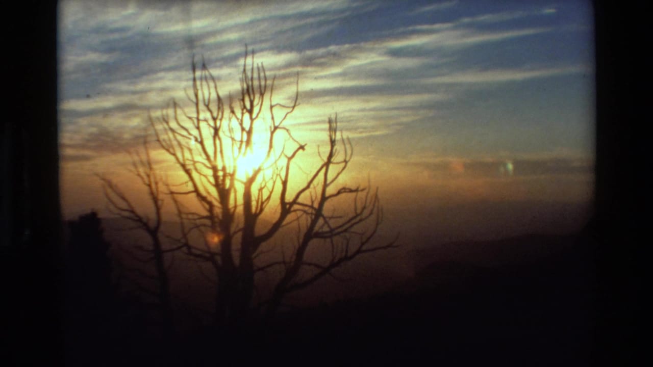 1981 8mm home-movie frame of a low sun shining through bare tree branches above dark mountain ridges.
