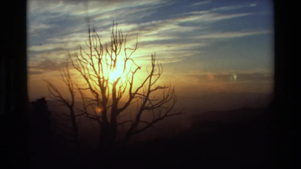 1981 8mm home-movie frame of a low sun shining through bare tree branches above dark mountain ridges.