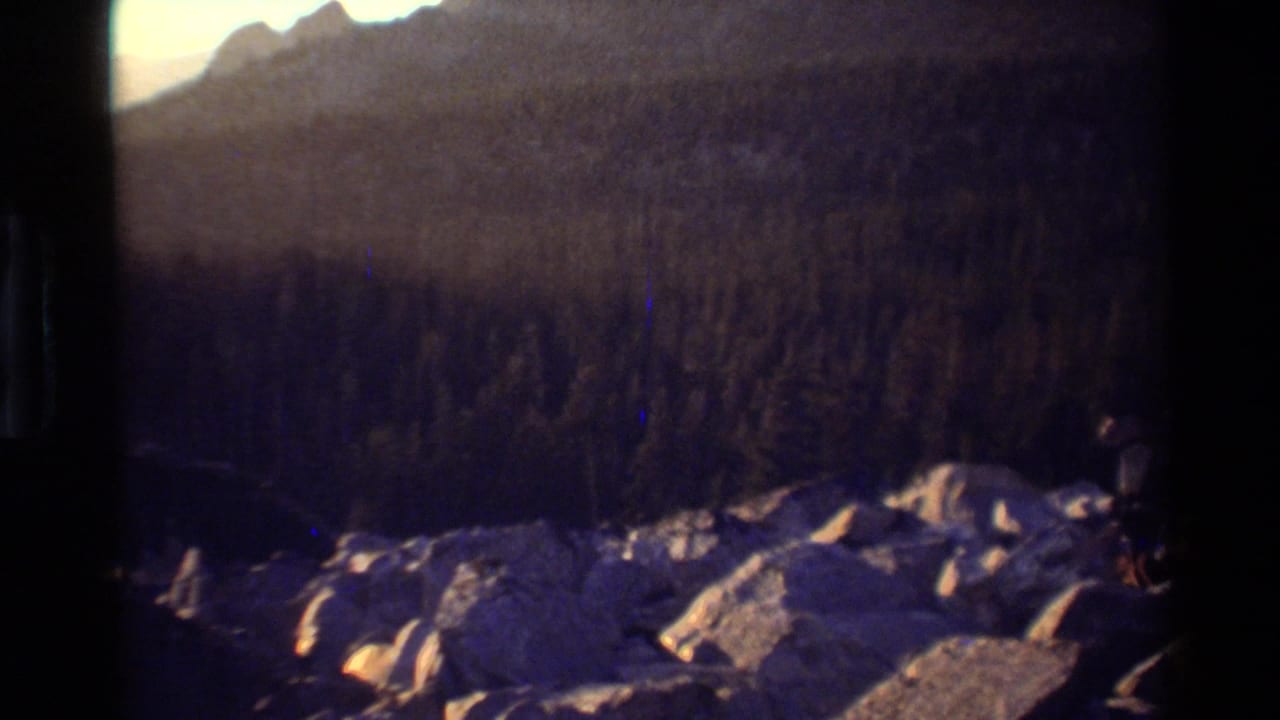 1981 8mm frame, per metadata, showing a forested mountain slope and rocky foreground with warm sunlight and dark scan edges.