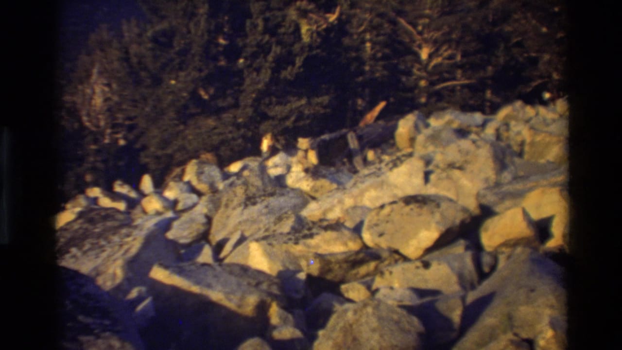1981 8mm home-movie frame of sunlit boulders and scattered trees in the stated British Columbia mountain setting.