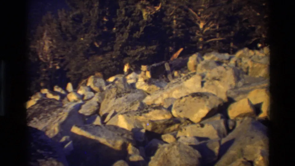 1981 8mm home-movie frame of sunlit boulders and scattered trees in the stated British Columbia mountain setting.