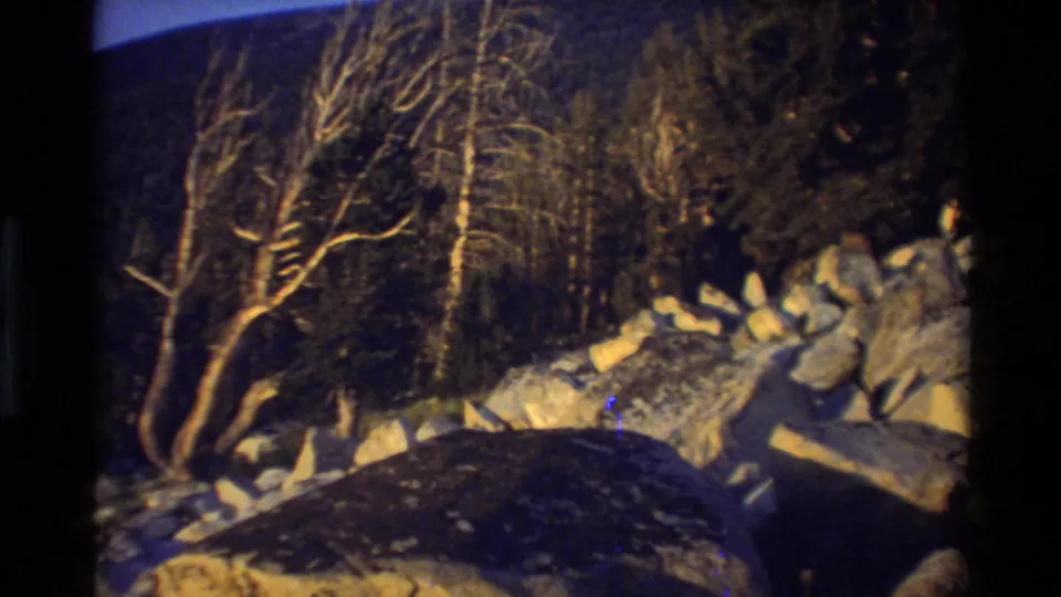 Home-movie frame of a pale bare tree, boulders, and darker forest on a mountain slope in the stated 1981 footage.