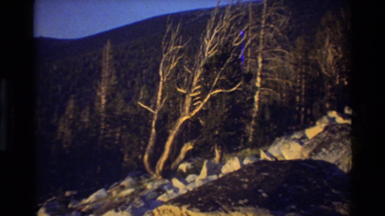 1981 8mm frame labeled British Columbia showing rocky terrain, bare trees, and a shadowed mountain hillside.