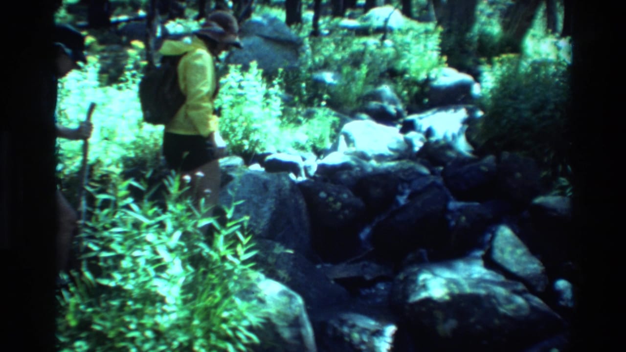 Hiker in yellow jacket stands near rocks and forest plants beside a stream.