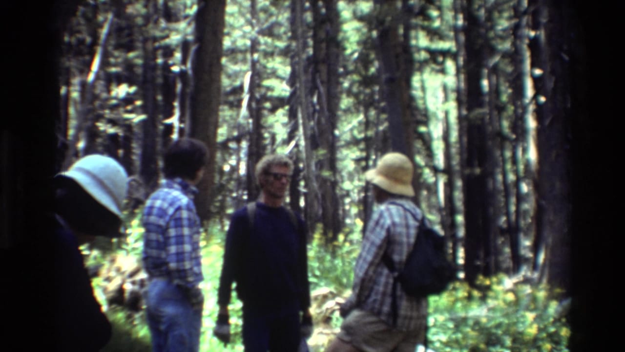 Group of adults talking in a dense forest with backpacks and hats.