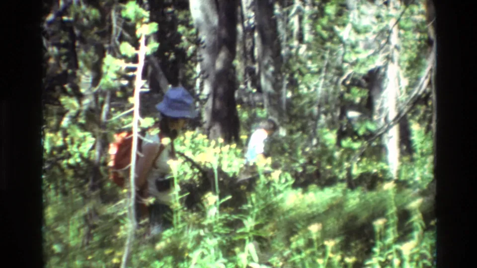 Adults in hats and backpacks move through a bright wooded area, partly obscured by trunks and brush in handheld 8mm footage.