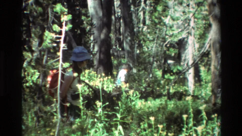 The hiking group is partially obscured by foliage and tree trunks as they continue through the wooded setting.