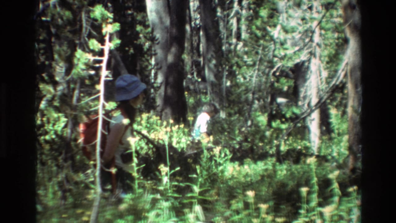 Hiker in a bucket hat walks through tall grass in a dense forest.
