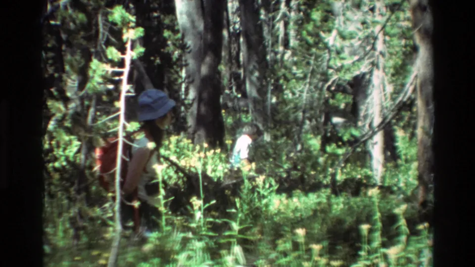 1981 home-movie frame showing a hiker with a hat and backpack moving through a wooded area identified in metadata as British Columbia.