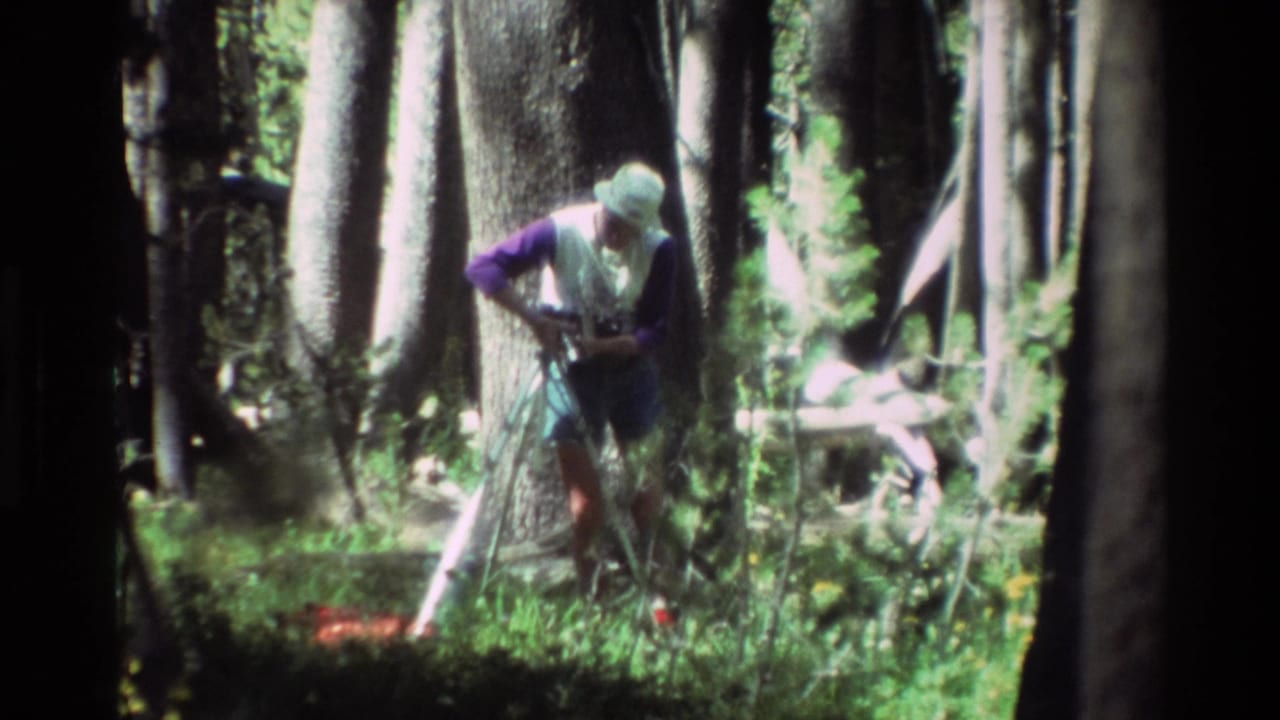 Hiker in hat, purple sleeves, and green shorts pauses near a large forest tree in 1981 8mm home-movie footage.