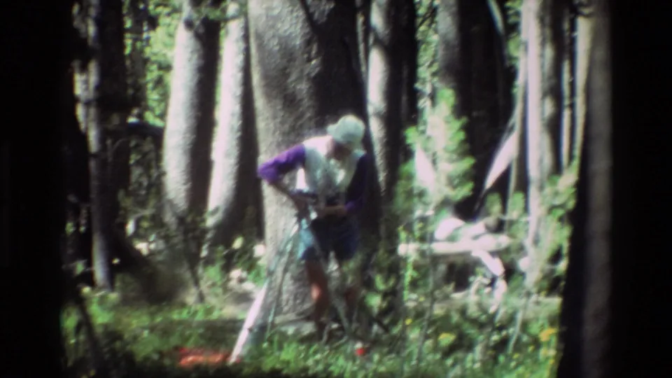 Soft 8mm frame of a hiker adjusting gear near a large tree amid tall grass and dense trunks, matching the stated 1981 forest setting.