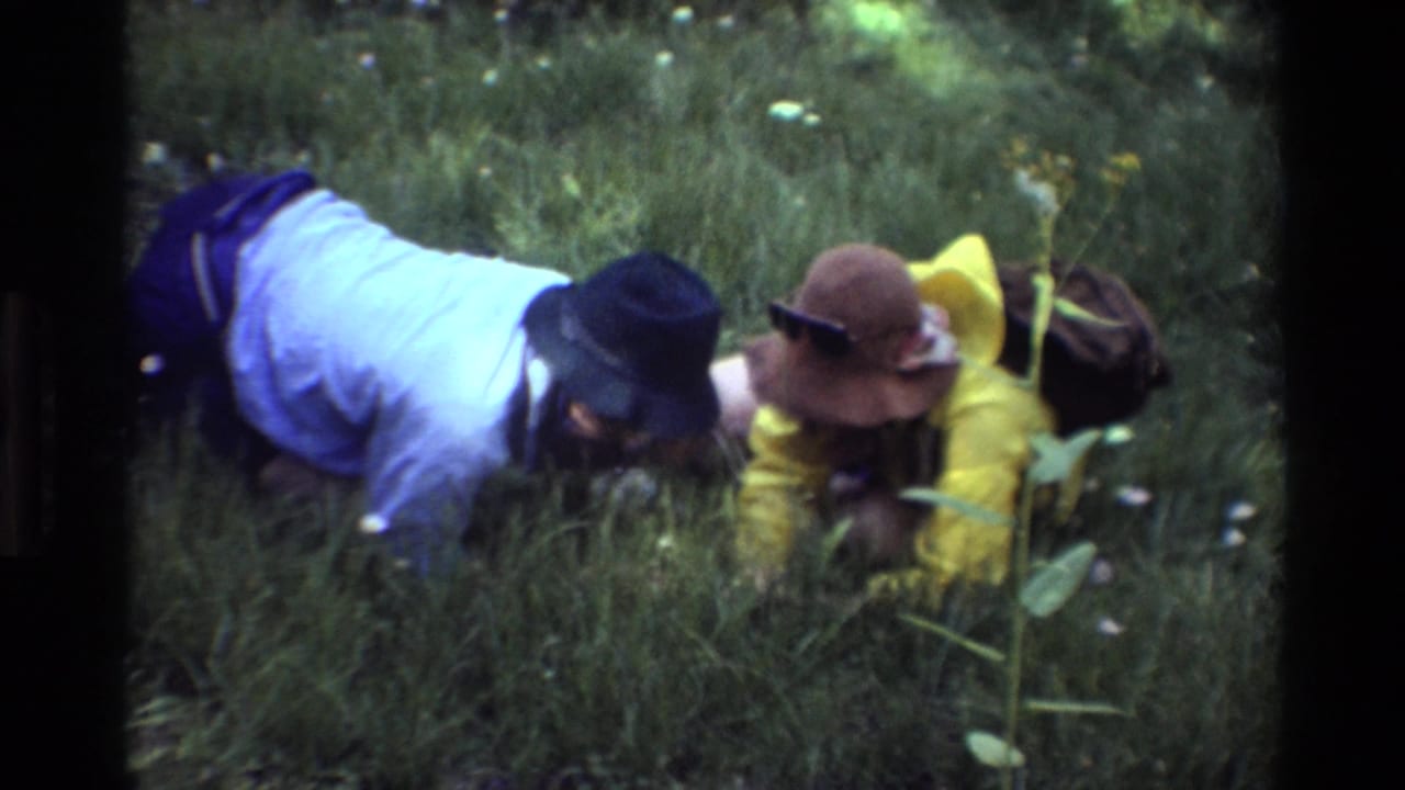 Two adults lie close to the grass while inspecting plants in a field.