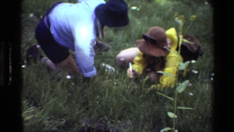 In this 8mm fieldwork moment, one adult in yellow lies among tall grass while another adult leans nearby to inspect the plants.