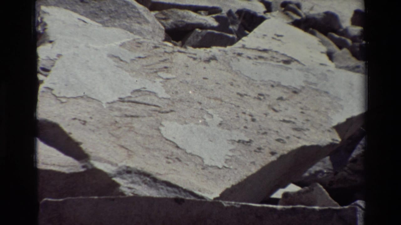 Similar close view of flat pale rock with rough texture and dark stones behind it.