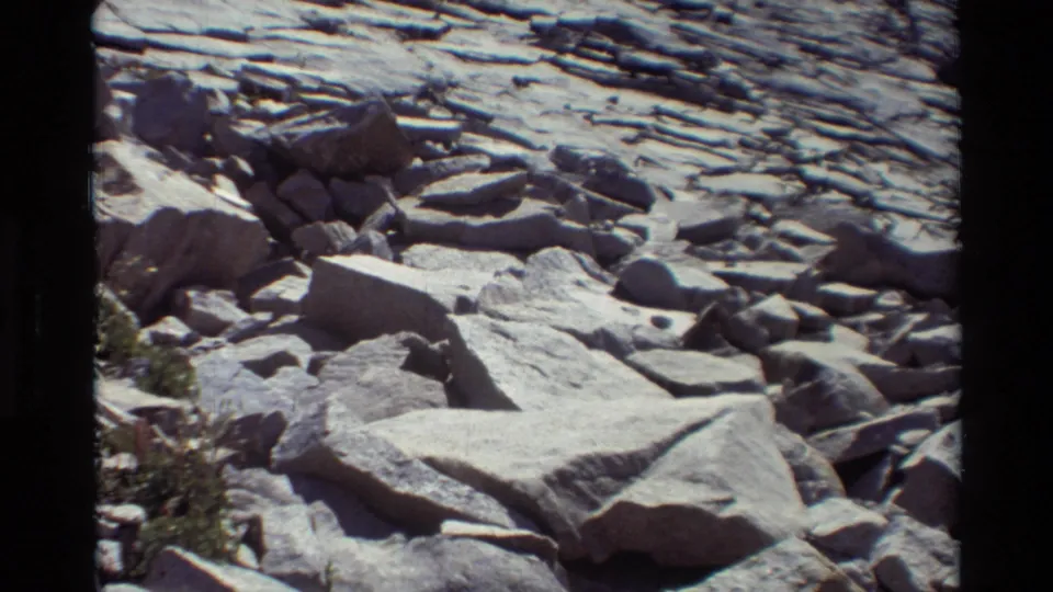 Cataloged 1981 8mm landscape frame with large pale boulders, scattered rubble, sparse greenery, and a sunlit stratified rock wall.