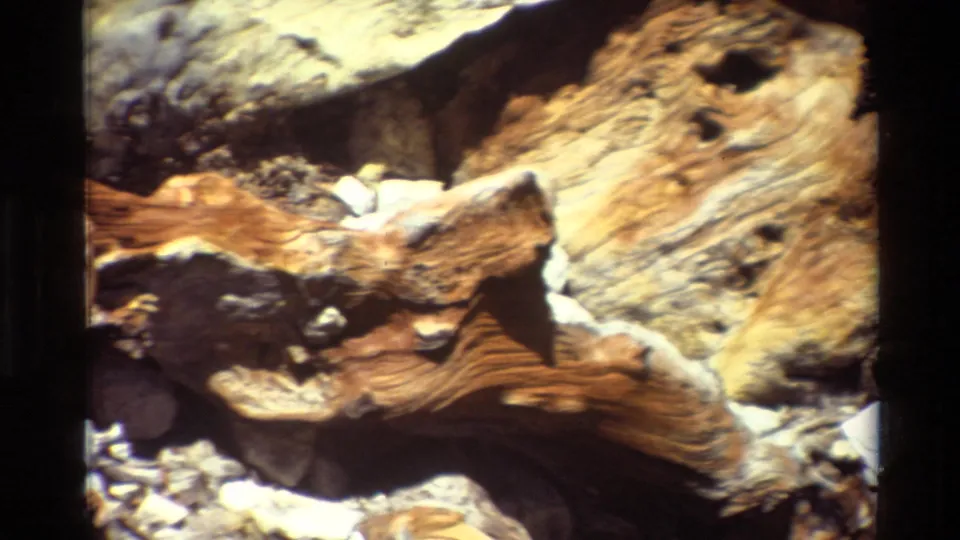 Weathered brown and orange wood rests among rocks in the 1981 8mm British Columbia nature footage.