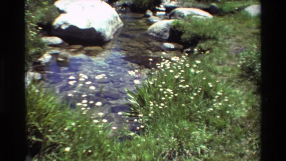 Close 1981 8mm view of shallow flowing water with rocks, grasses, and white wildflowers along the bank.