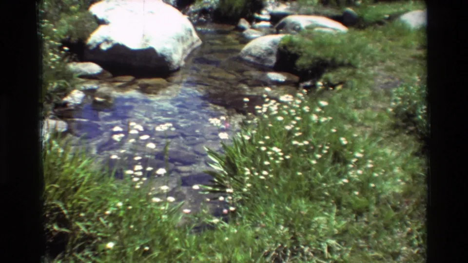 1981 8mm frame showing clear water near smooth rocks, green streambank growth, and small white flowers.