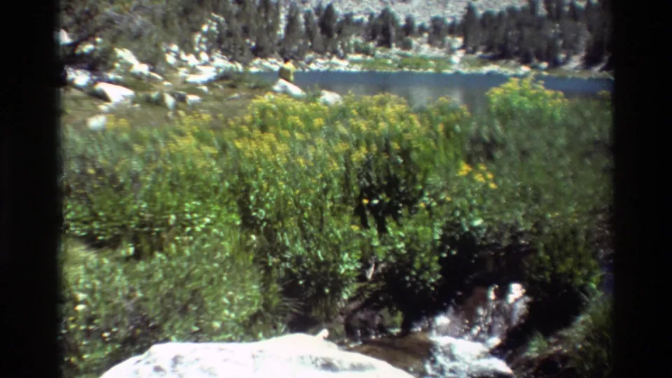1981 8mm frame looking across streamside wildflowers and brush toward a blue alpine lake and evergreen-lined rocky shore.