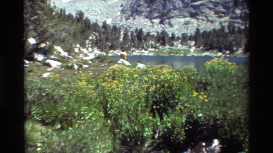 1981 8mm home-movie view of wildflowers and brush before an alpine lake, evergreen trees, rocky slopes, and lingering snow.